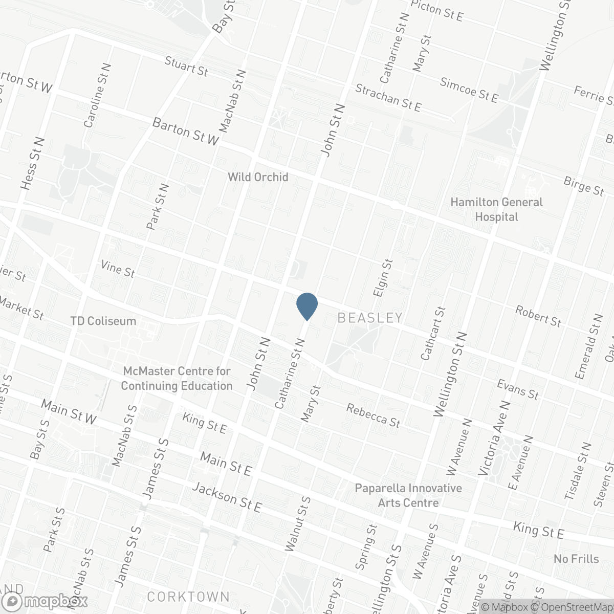 143 CATHARINE Street N, Hamilton, Ontario L8R 1J5